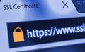 Are you sure the referring traffic on your dealer website is correct?