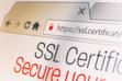 Did you already adjust your dealer website to ssl?