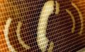 Click to Call – Weten wanneer er wel of niet wordt gebeld!